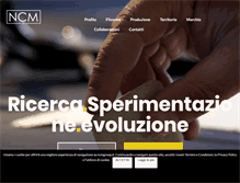 Tablet Screenshot of ncmgroup.it
